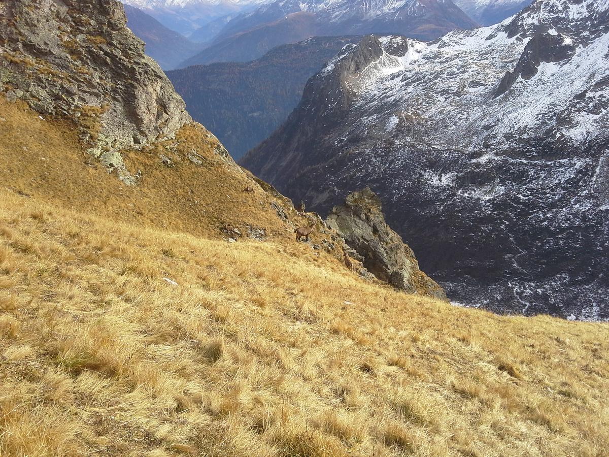 Lieu Secret Dans Les Alpes Suisses *